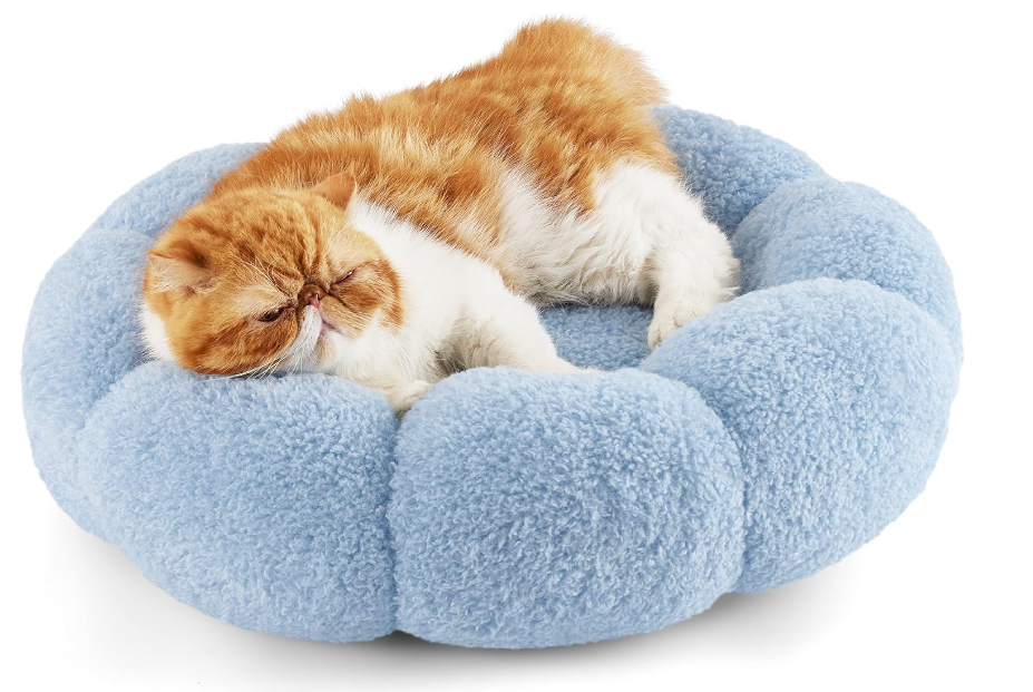 a cat is sleeping in a blue dog bed .