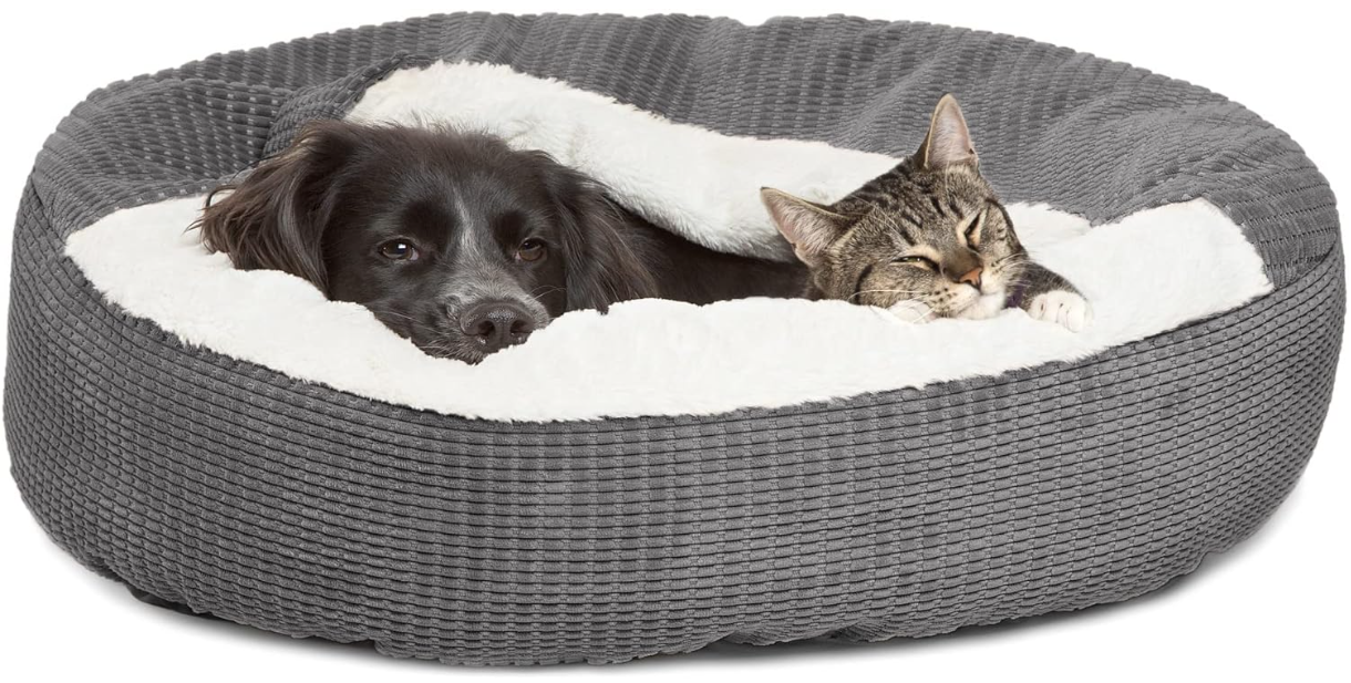 a dog and a cat are laying in a dog bed .