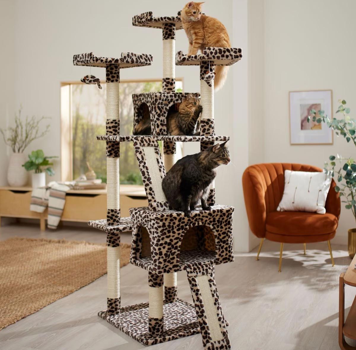 two cats are sitting on a cat tree in a living room