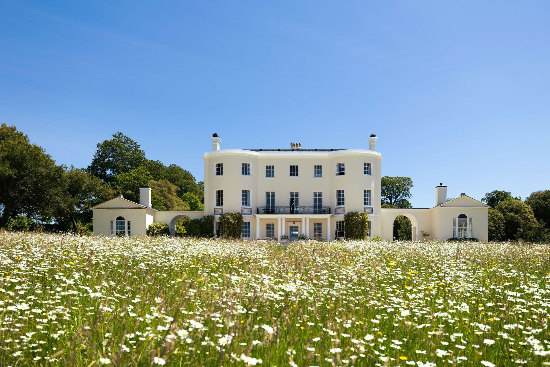 a large white house is surrounded by a field of daisies