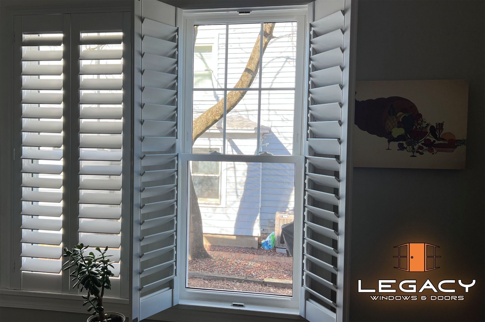 White shutters on a window, open to the sides, with a tree visible through the glass.