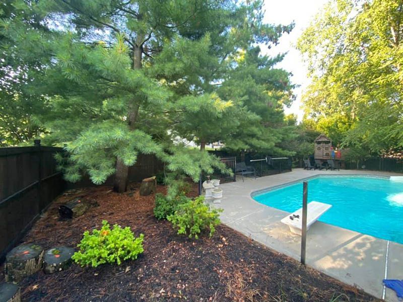 A large swimming pool is surrounded by trees and bushes in a backyard.