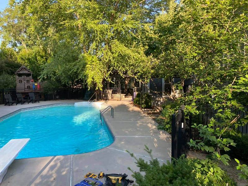 A large swimming pool is surrounded by trees in a backyard.