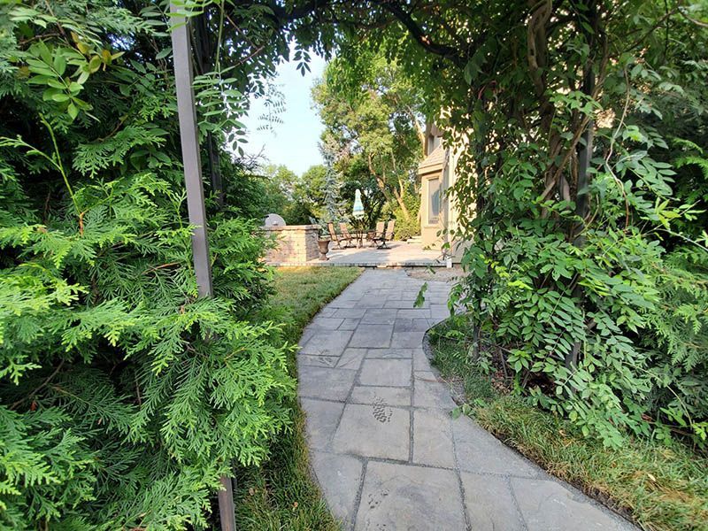 A stone walkway surrounded by trees and bushes leading to a house.