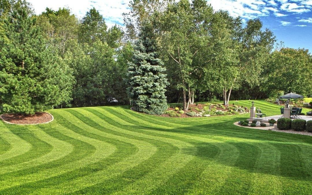 A large lush green lawn with trees in the background.