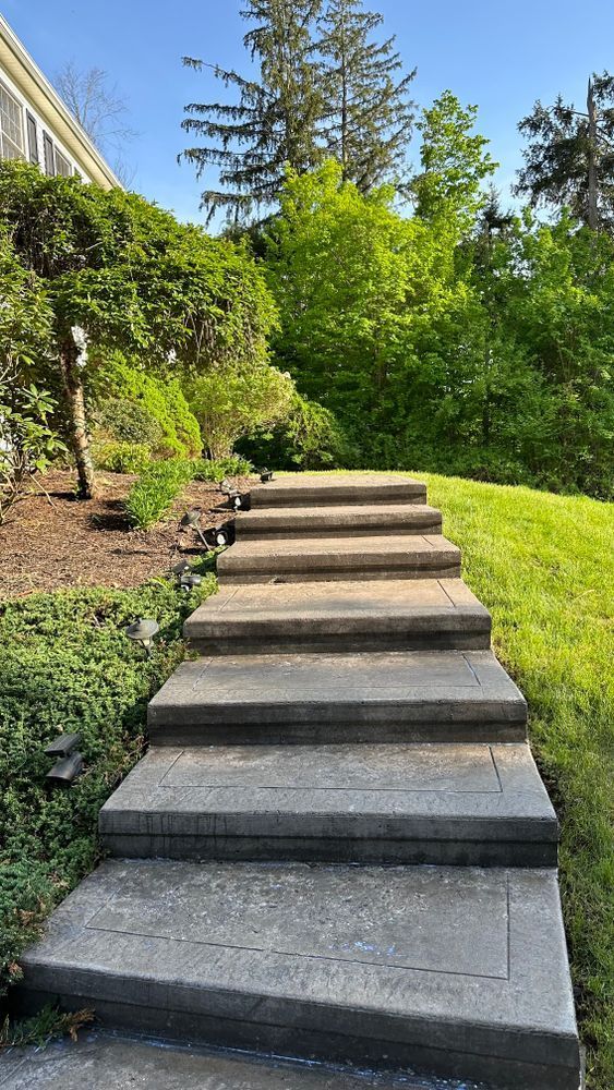 Concrete steps ascend a grassy hillside, leading towards lush green trees and a sunny sky.