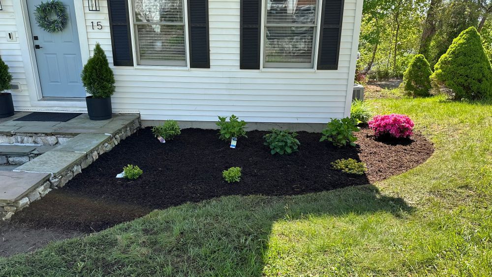 White house with new mulch bed and small plants, including a pink azalea, with green grass in front.