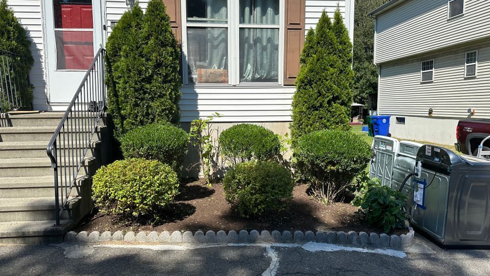 A house with a small front yard filled with bushes and trees. The yard is bordered with a decorative edging.