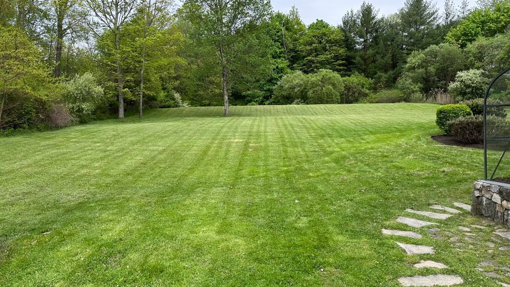 Lawn in a garden setting, freshly mowed with trees in the background and stone pathway on the right.