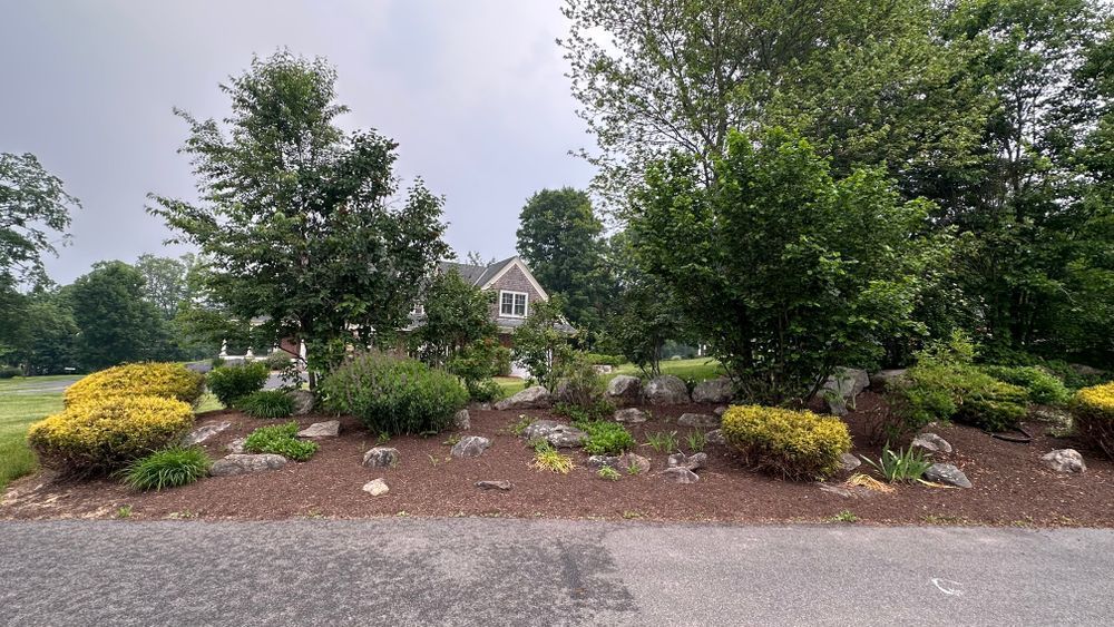 A landscaped garden bed with shrubs, rocks, and trees in front of a house under a cloudy sky.