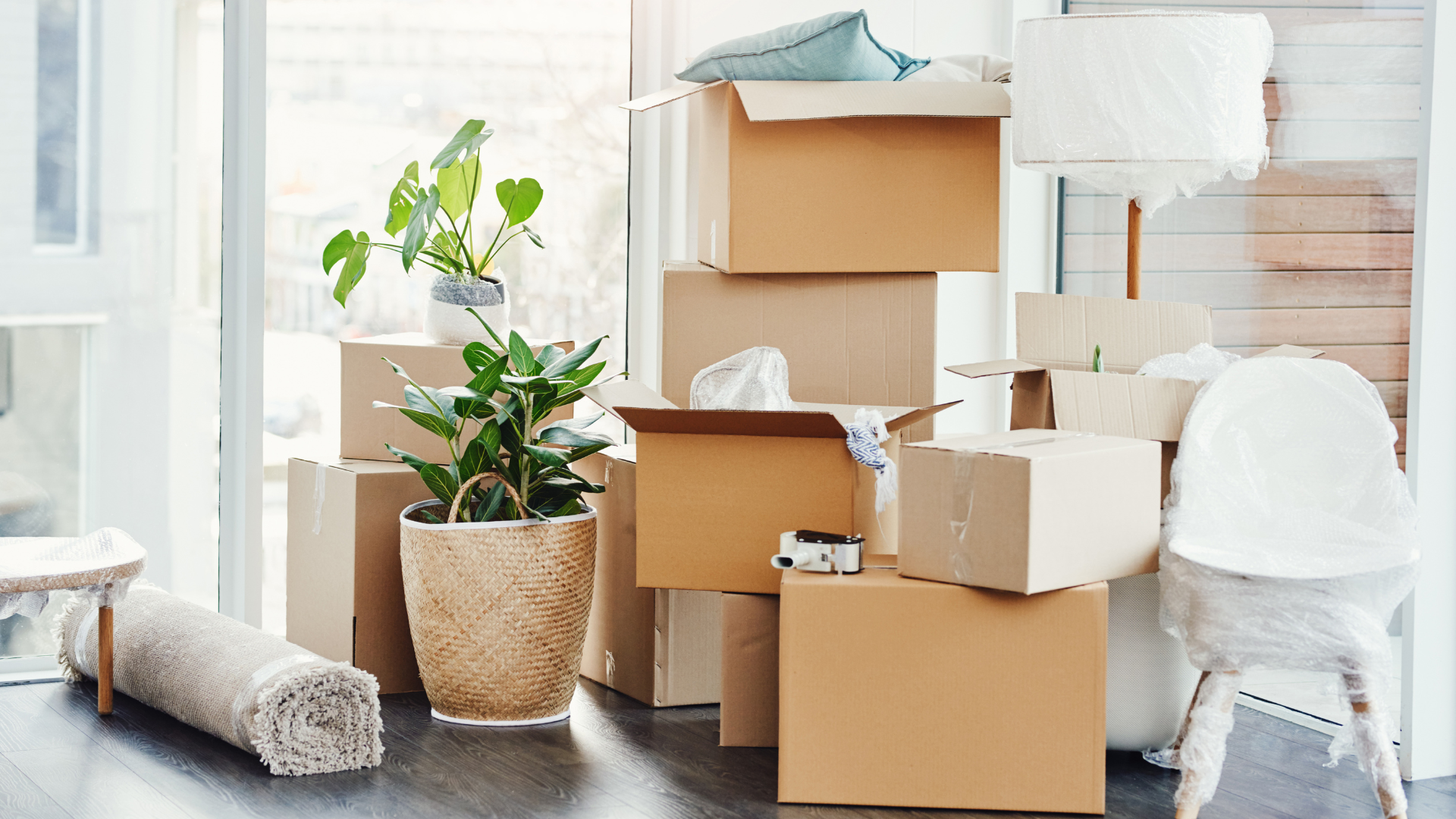 Cardboard boxes stacked inside, ready for a move, with a potted plant and rolled rug.