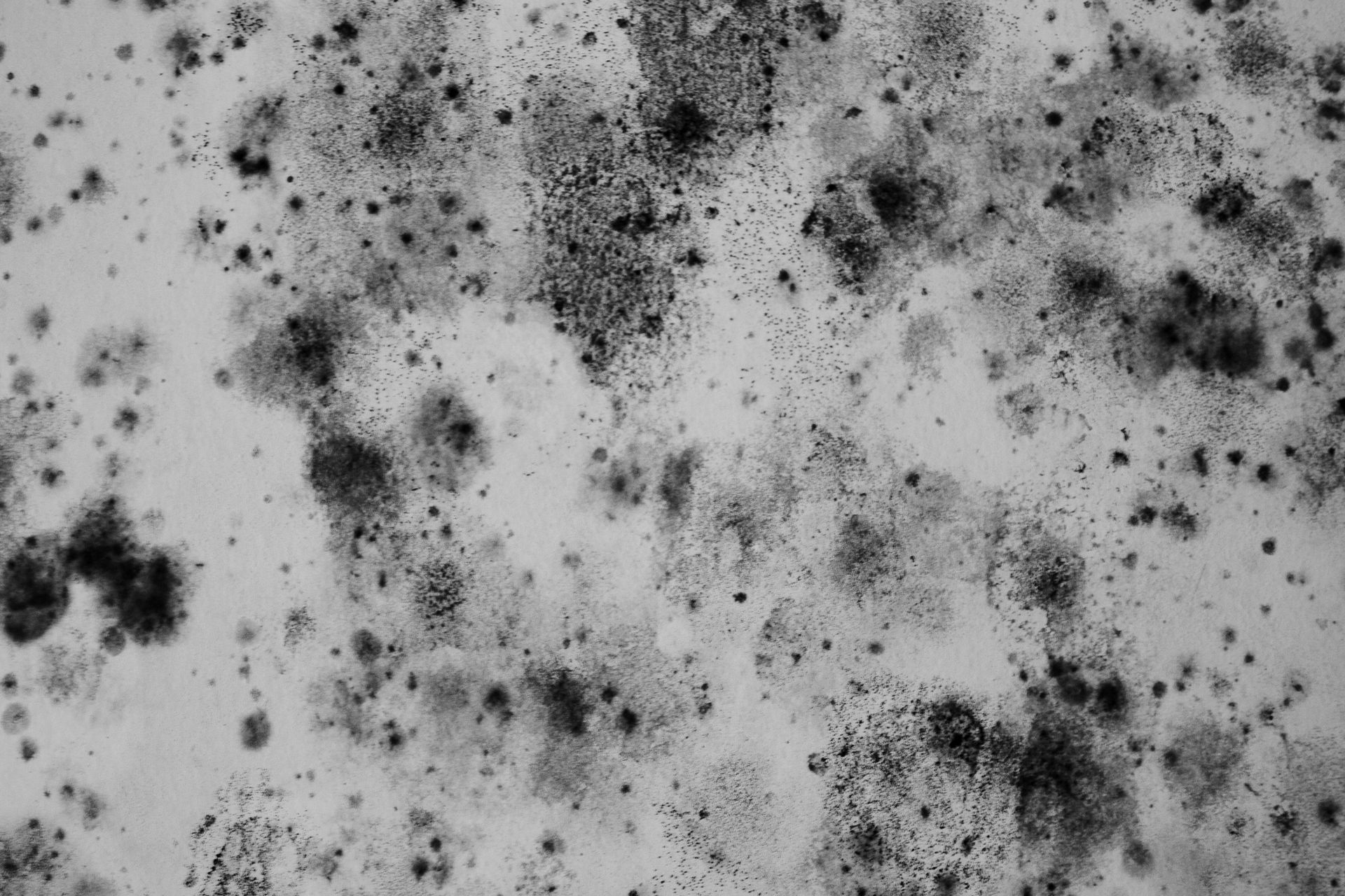 A black and white photo of a white surface with black spots on it.