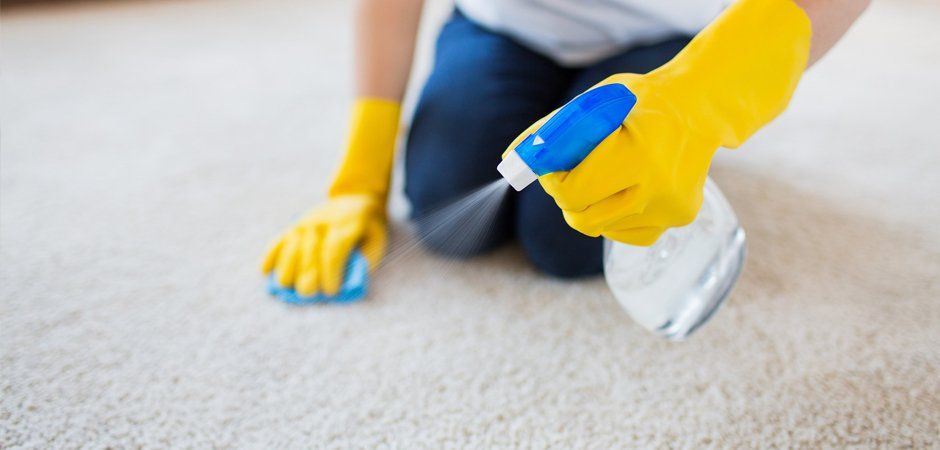 domestic cleaning service