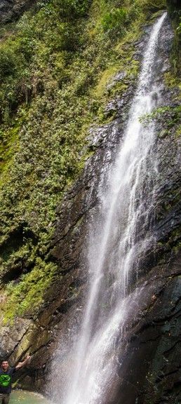 Cascada que cae por un acantilado rocoso, rodeada de exuberante vegetación verde.