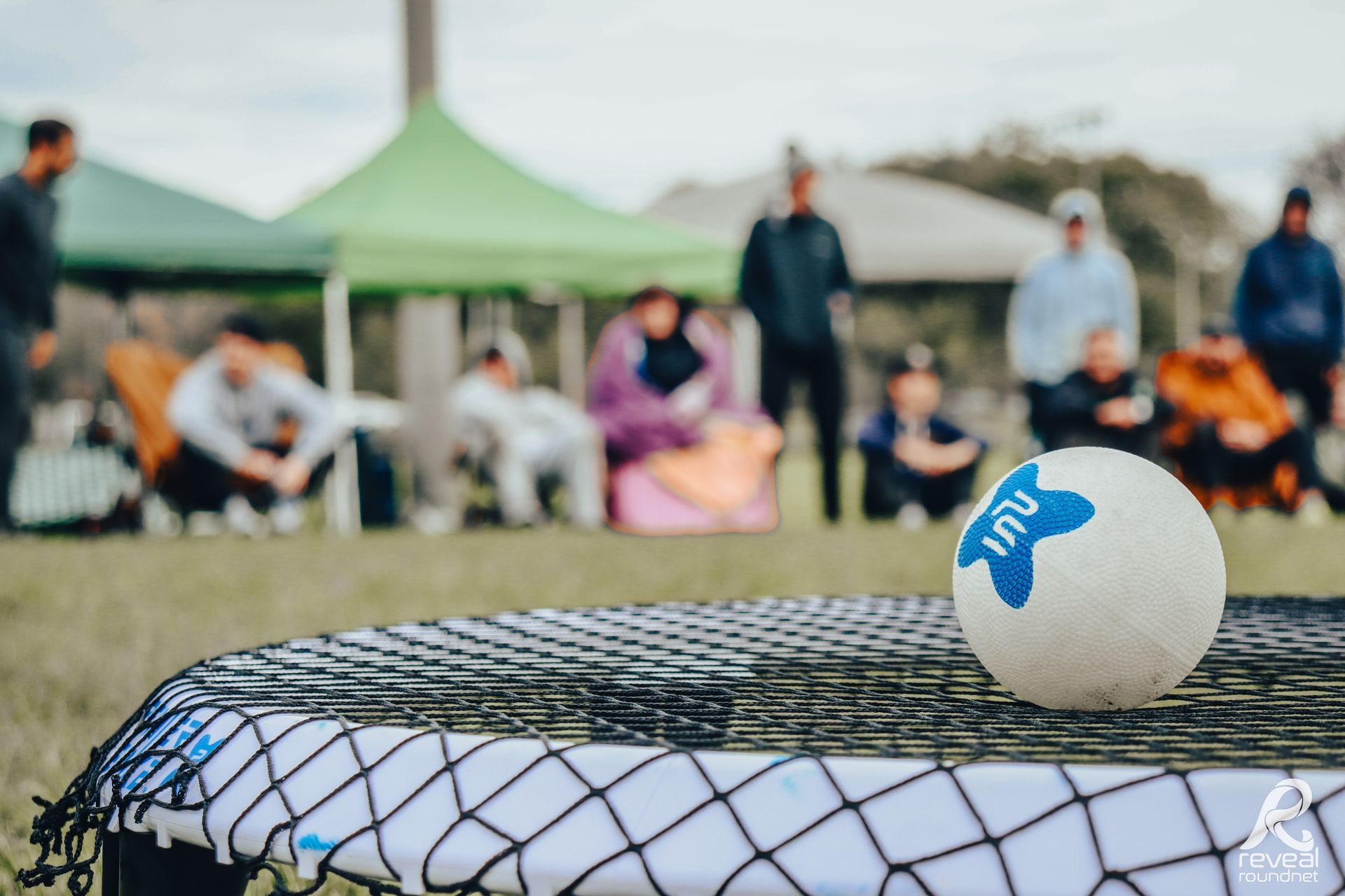 Pretty Premier Spike set and spikeball.