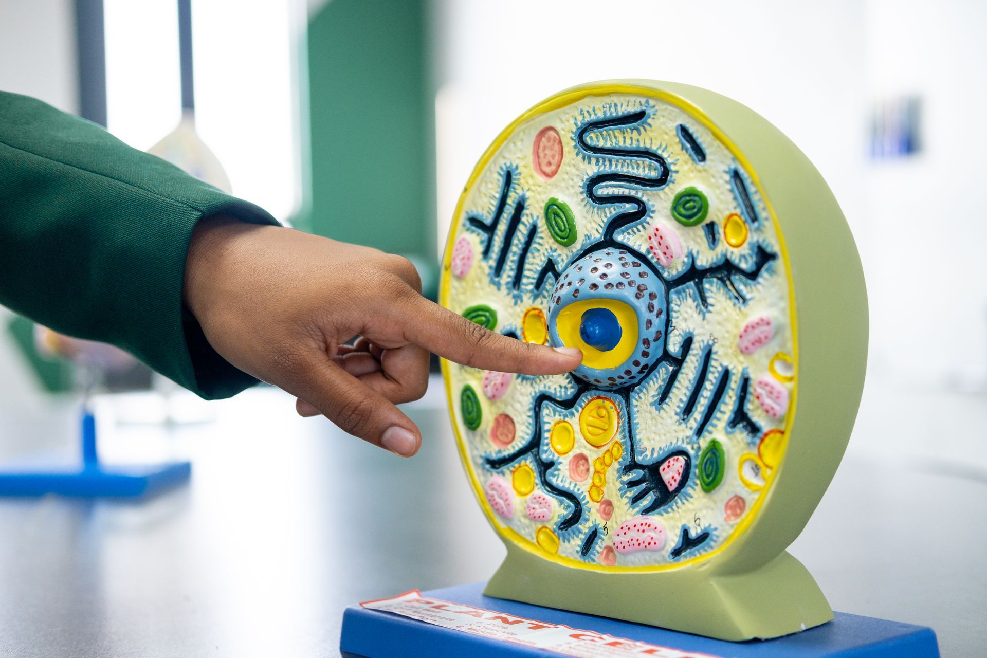 An artist 's impression of a large white building with a courtyard in front of it.