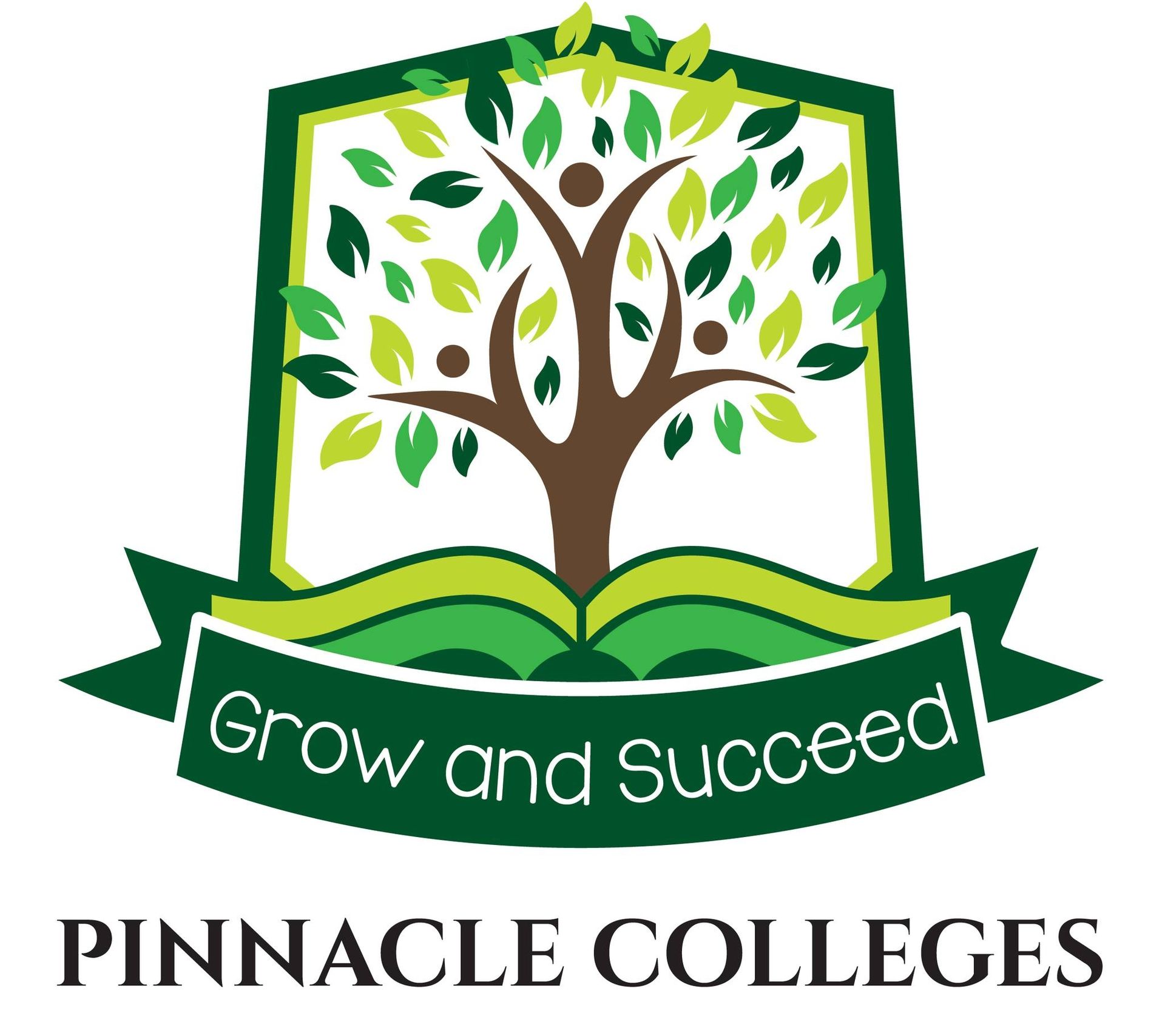 The pinnacle colleges logo is blue and red