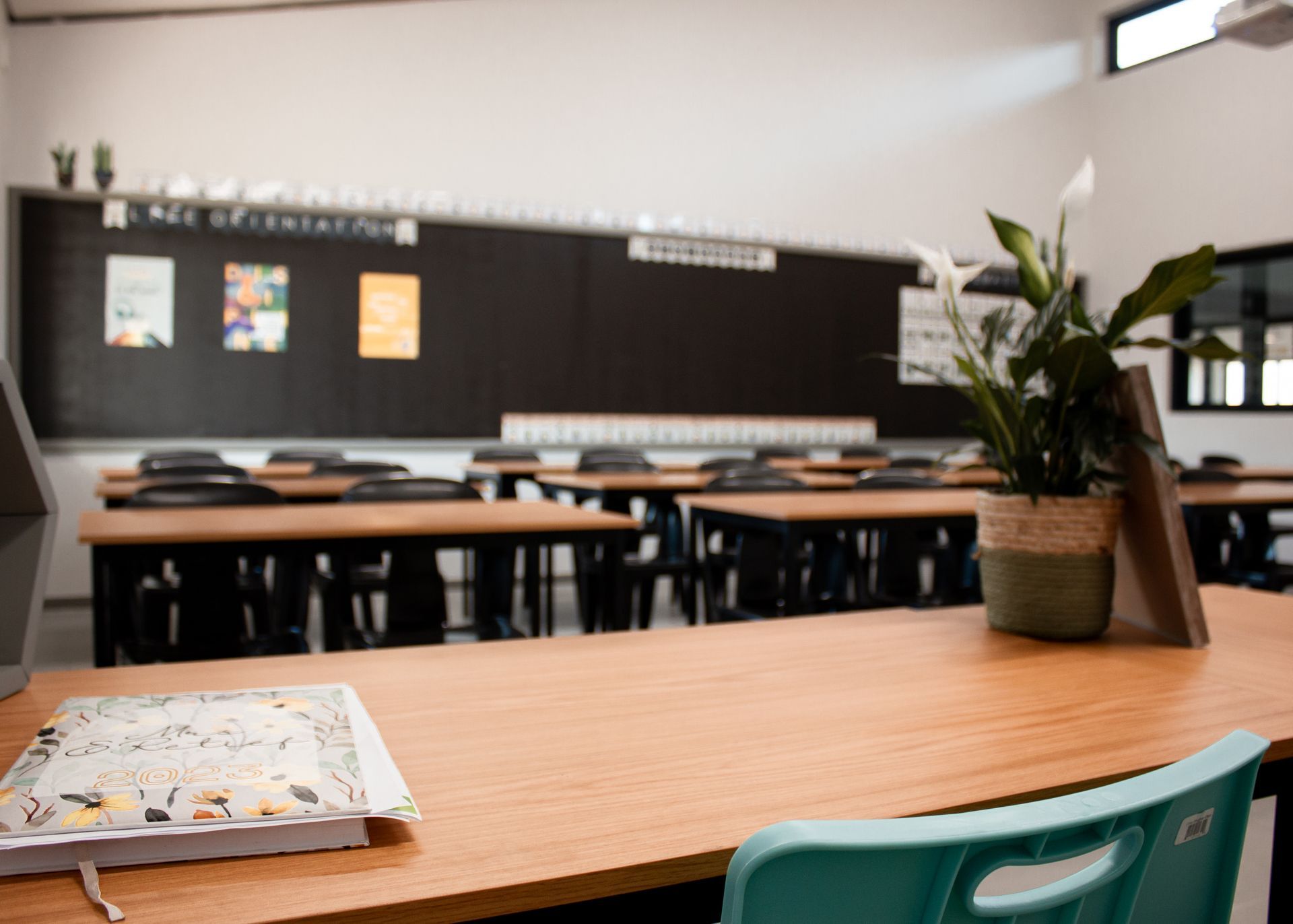 An empty classroom with tables and chairs and a potted plant on the table.