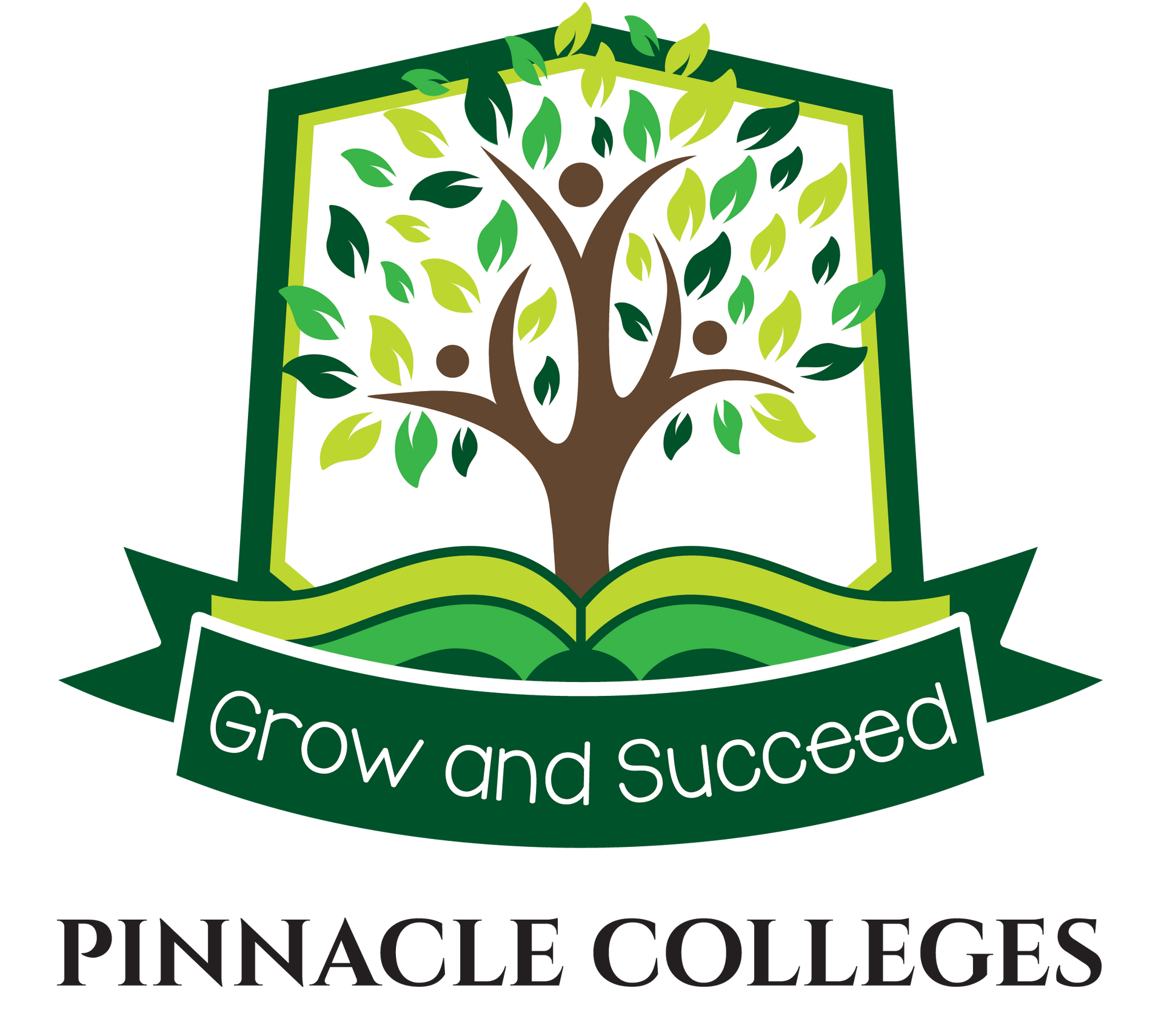 Pinnacle College Rynfield | Apply