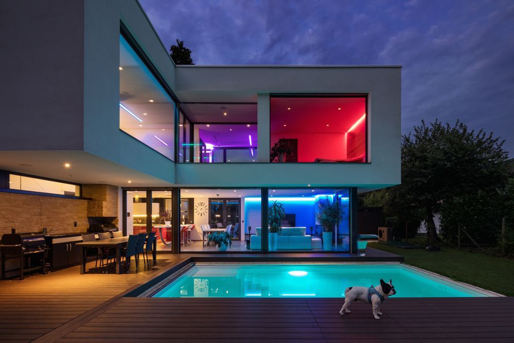 A Dog Is Standing Next to A Swimming Pool in Front of A Modern House — Thomas Croker Constructions In Myrtleville, NSW