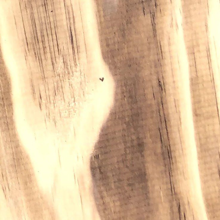 Shou Sugi Ban | Accoya | Gevlamd  | Niet bewerkt | Niet afgewerkt