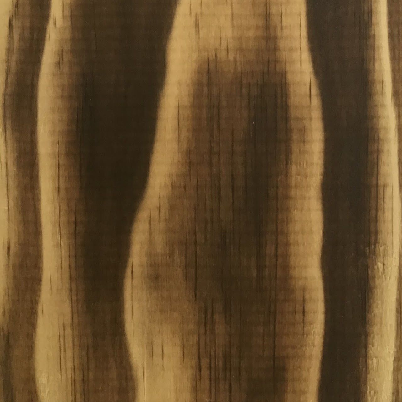 Shou Sugi Ban | Accoya | Gevlamd  | Niet bewerkt | Niet afgewerkt