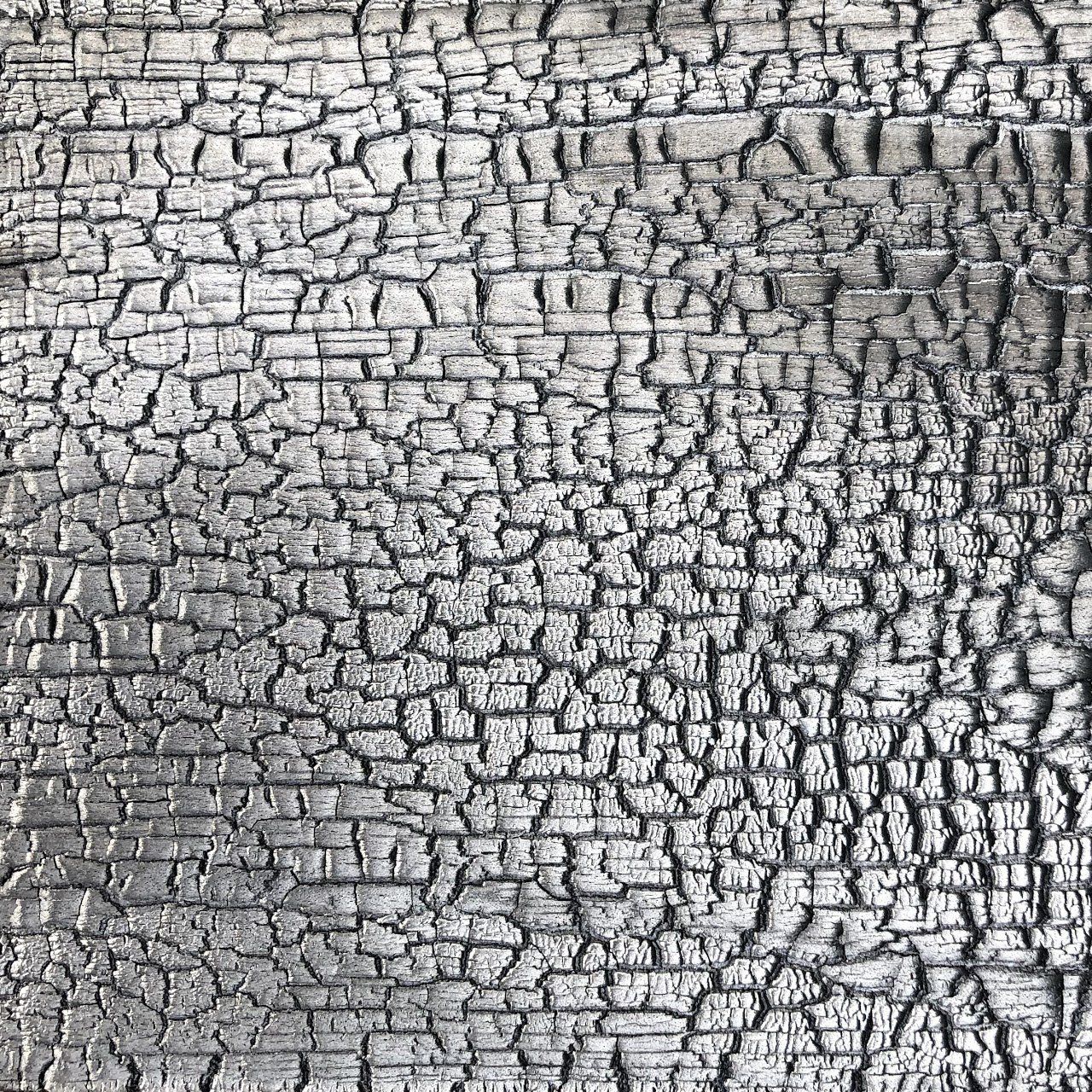 Shou Sugi Ban | Accoya | Medium | Niet bewerkt | Niet afgewerkt