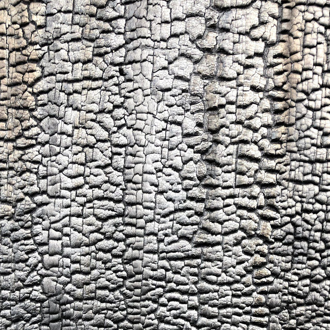 Shou Sugi Ban | Accoya | Heavy | Niet bewerkt | Niet afgewerkt