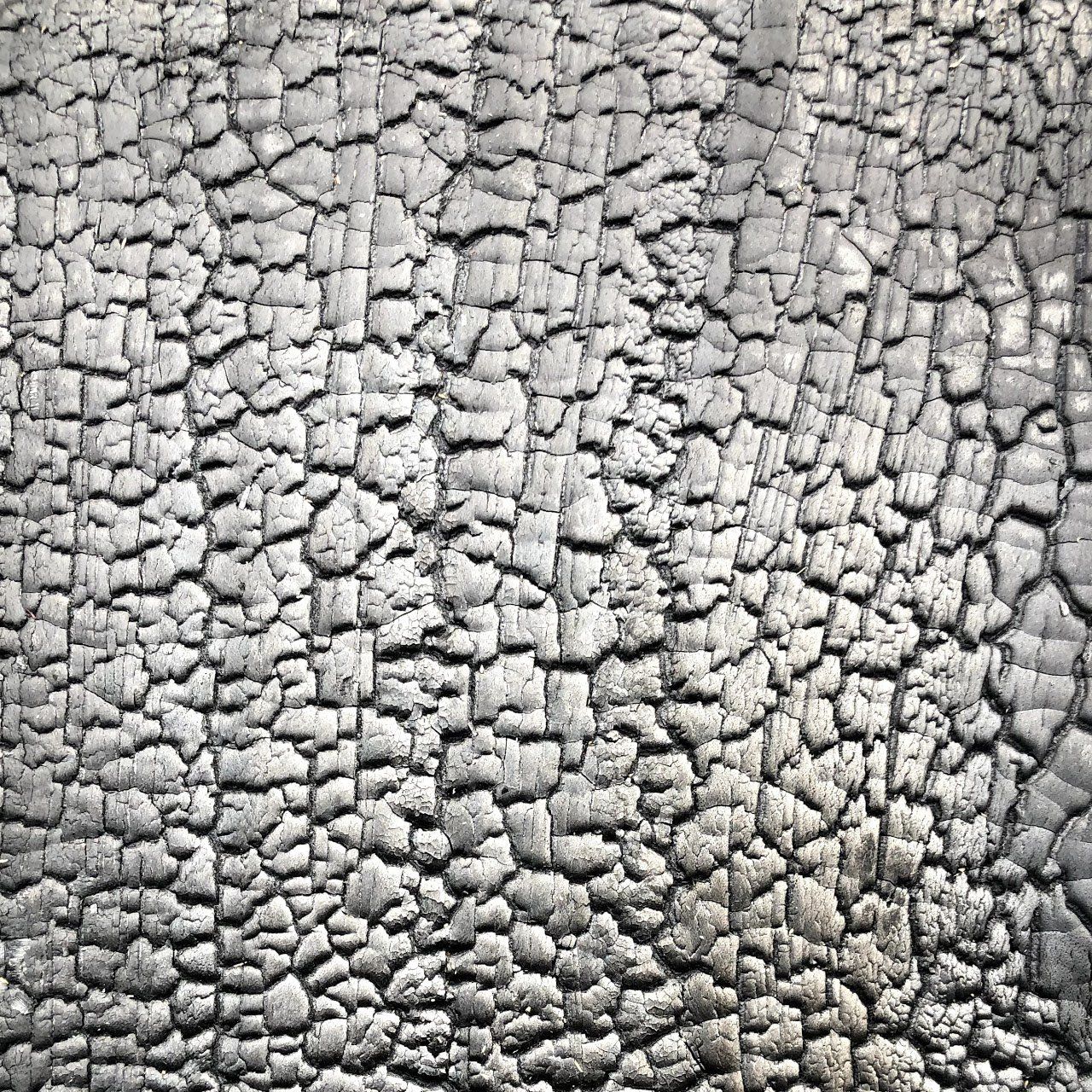 Shou Sugi Ban | Accoya | Heavy | Niet bewerkt | Niet afgewerkt