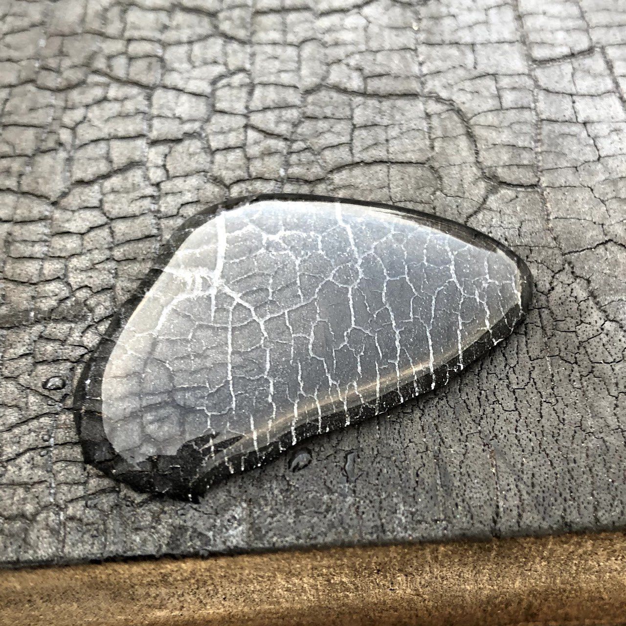 Shou Sugi Ban | Accoya | Medium | Niet bewerkt | Afgewerkt met Aqua-Proof Pro Wood Basic