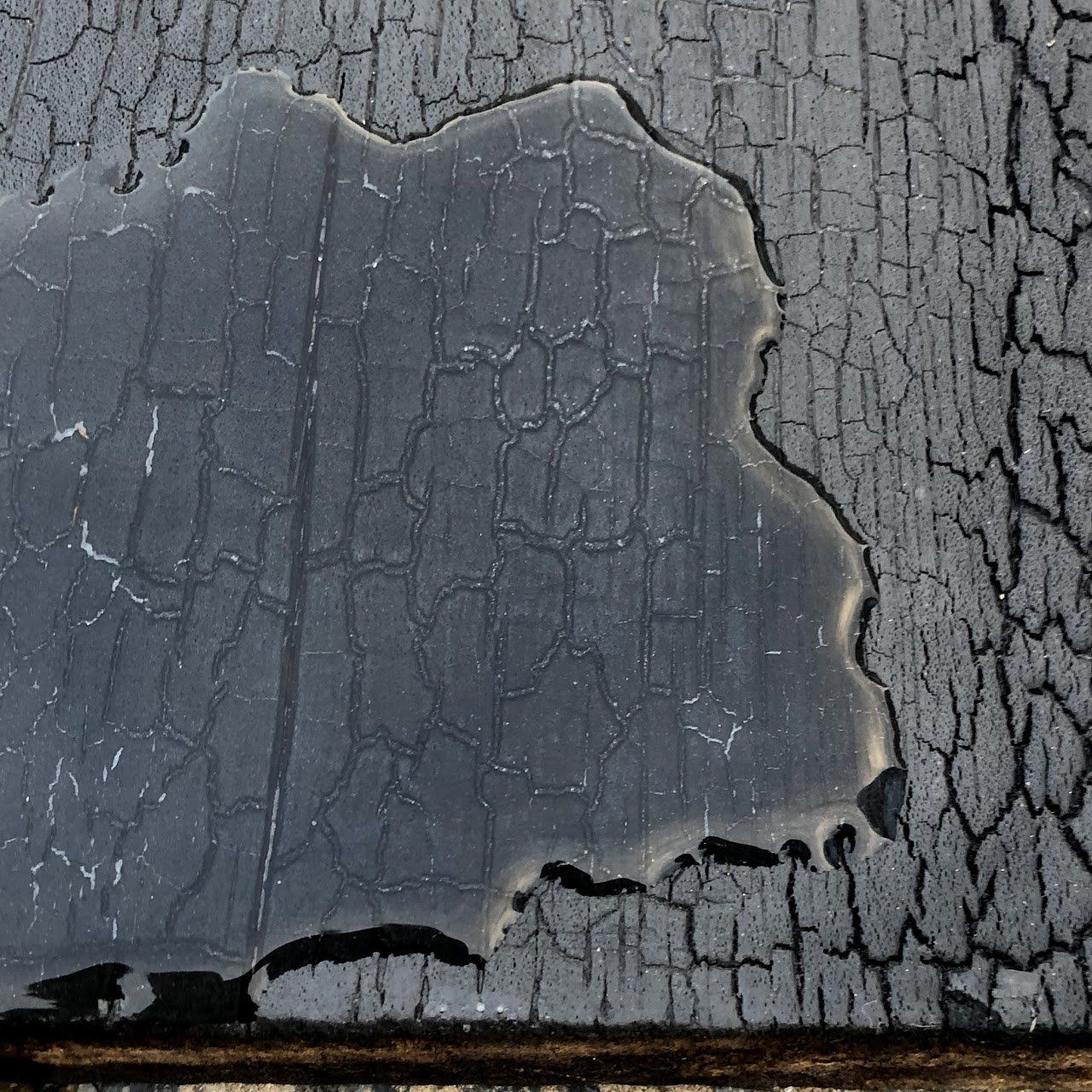 Shou Sugi Ban | Accoya | Medium | Niet bewerkt | Afgewerkt met Rubio Monocoat Sealer