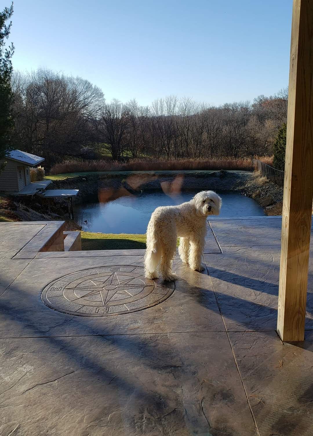decorative concrete patio