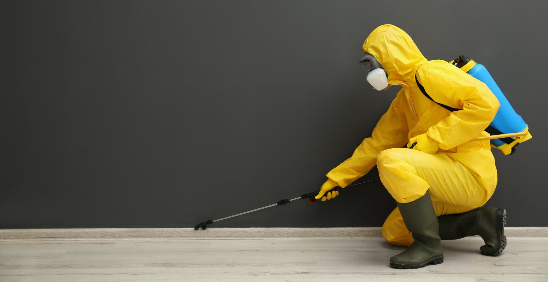 Amtech 2000 Extermination photo 4