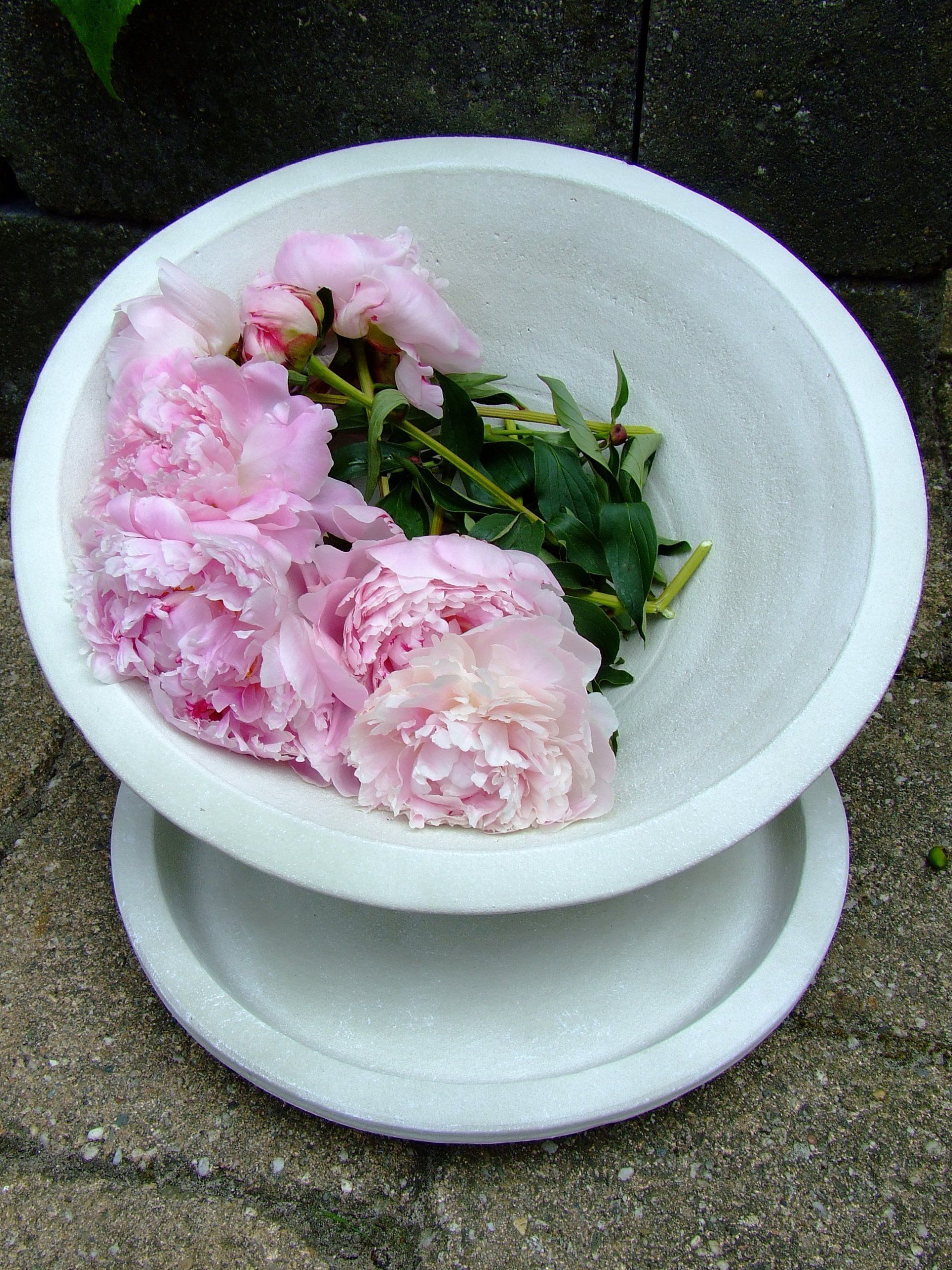 uniek bloempot, unieke decoratie, bloempot van terracotta, bloempot, bloempot binnenshuis, bloempot buitenshuis, betondeco, betondecoratie, unieke betondecoratie