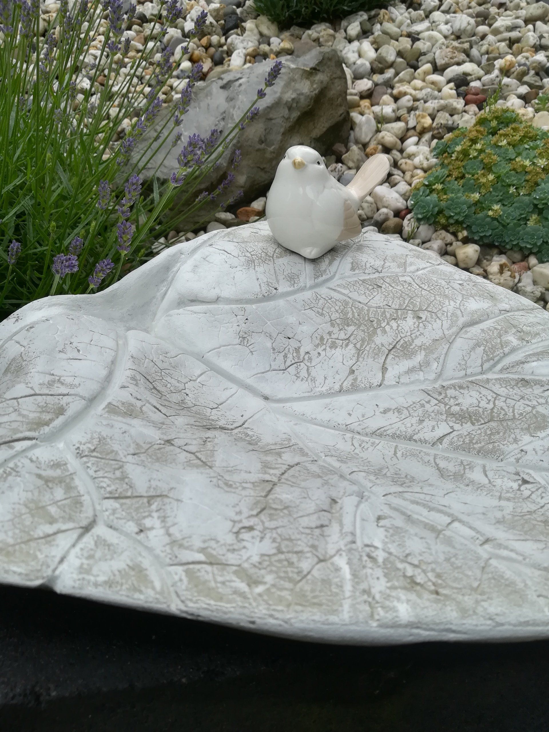 uniek vogelbad, uniek vogelbadle van cement, uniek vogelbadjevan beton, vogelbad, vogelbad van cement, vogelbad van beton, handgemaakt vogelbadje, handgemaakt vogelbad, vogelbad cadeau, cadeau vogelbad, tuindecoratie vogelbad, tuindeco vogelbad, tuindecoratie beton, tuindecoratie cement, cement vogelbad, betonnen vogelbad, cadeau voor de tuin