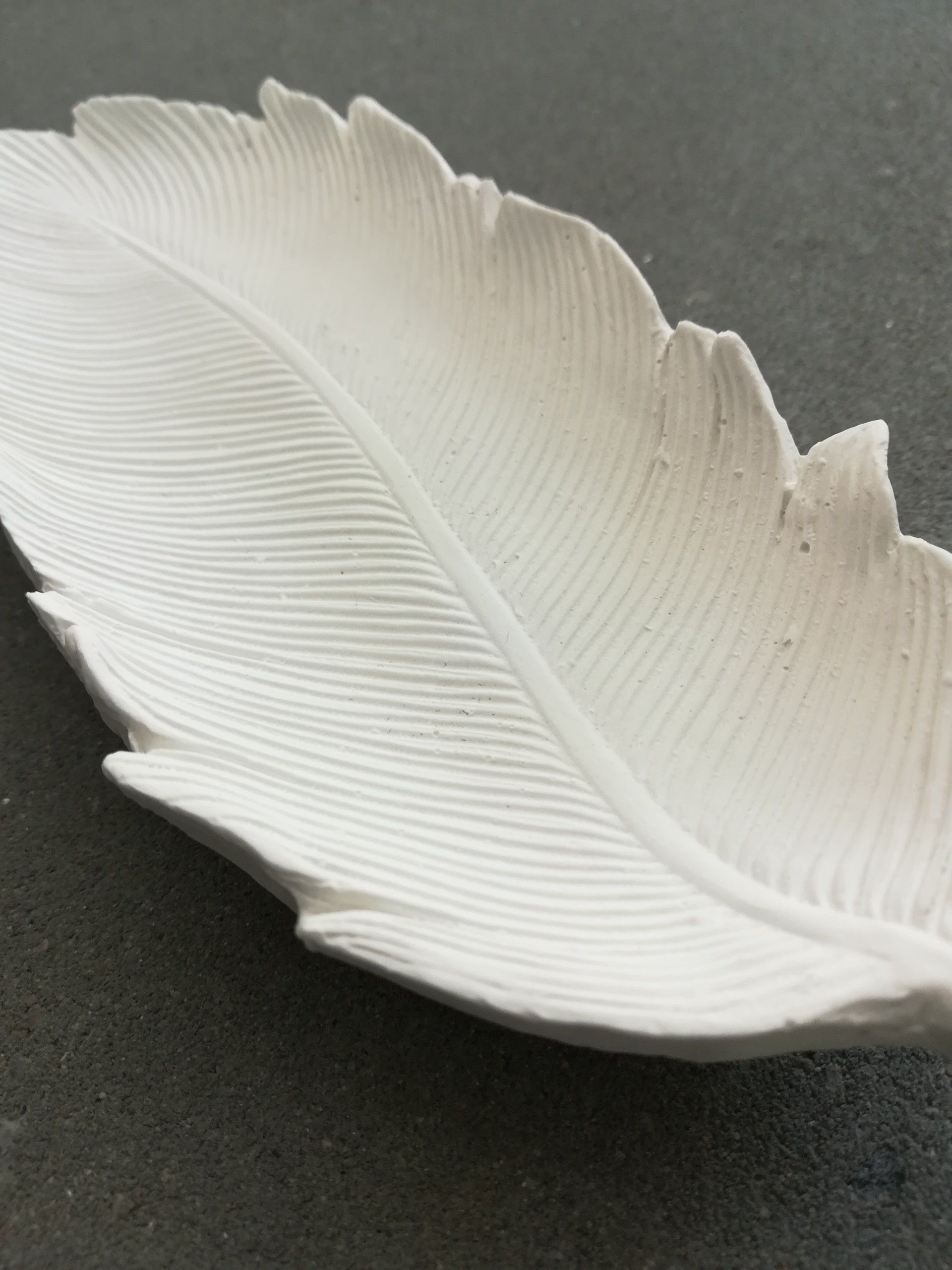 veren van raysin, vren van beton, vren van cement, uniek veren, handgemaakt veren, vren kom, kom in vorm van een veer, uniek cadeautje, kerst kado, veren deco, veer deco