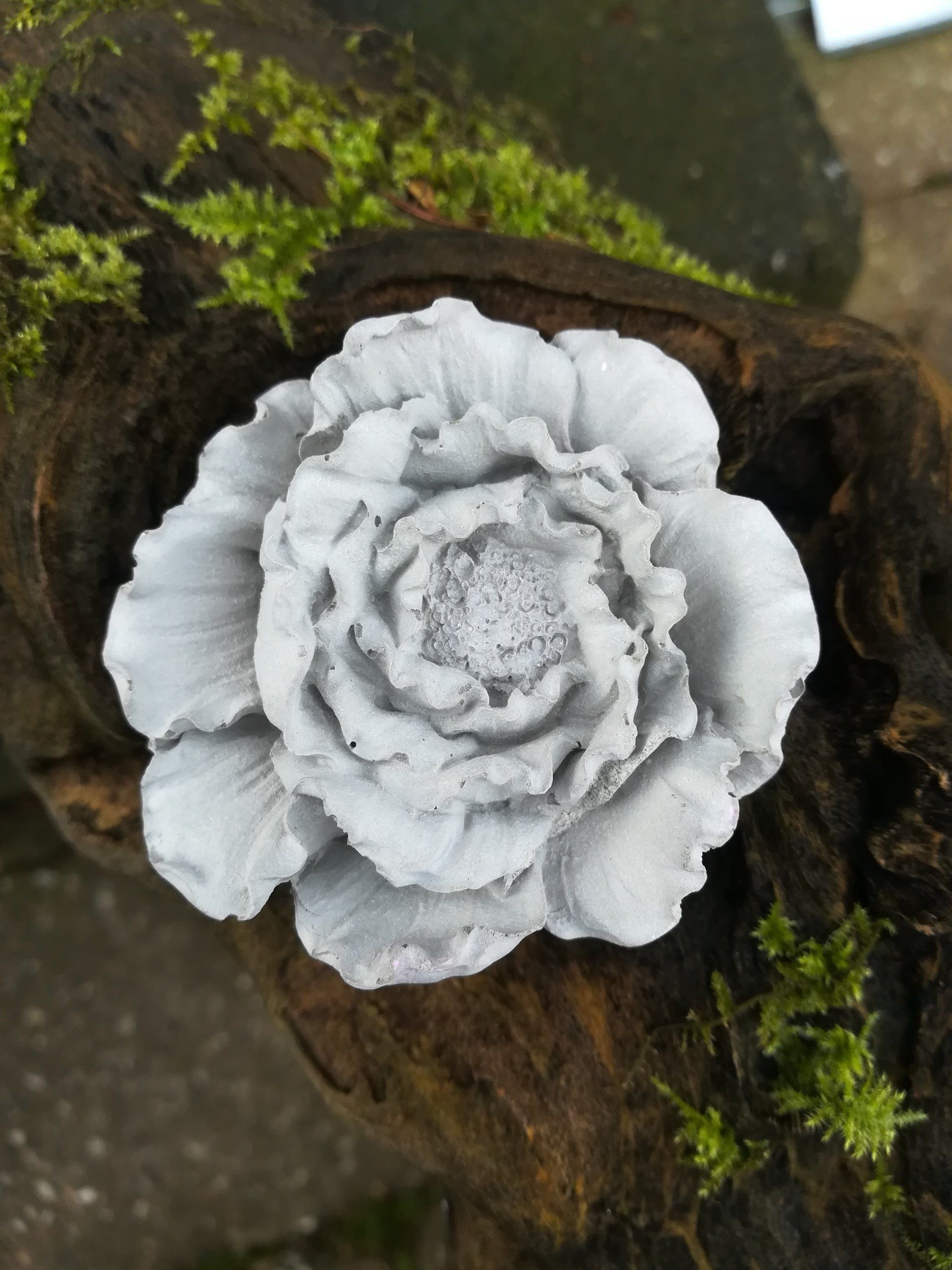 handgemaakt pioenroos, pioenroos, pioenroos van beton, pioenroos van cement, uniek pioenroos, handgemaakt bloem, handgemaakt bloem van cement, bloem dco, deco pioenroos, decoratie van beton, deco can cement