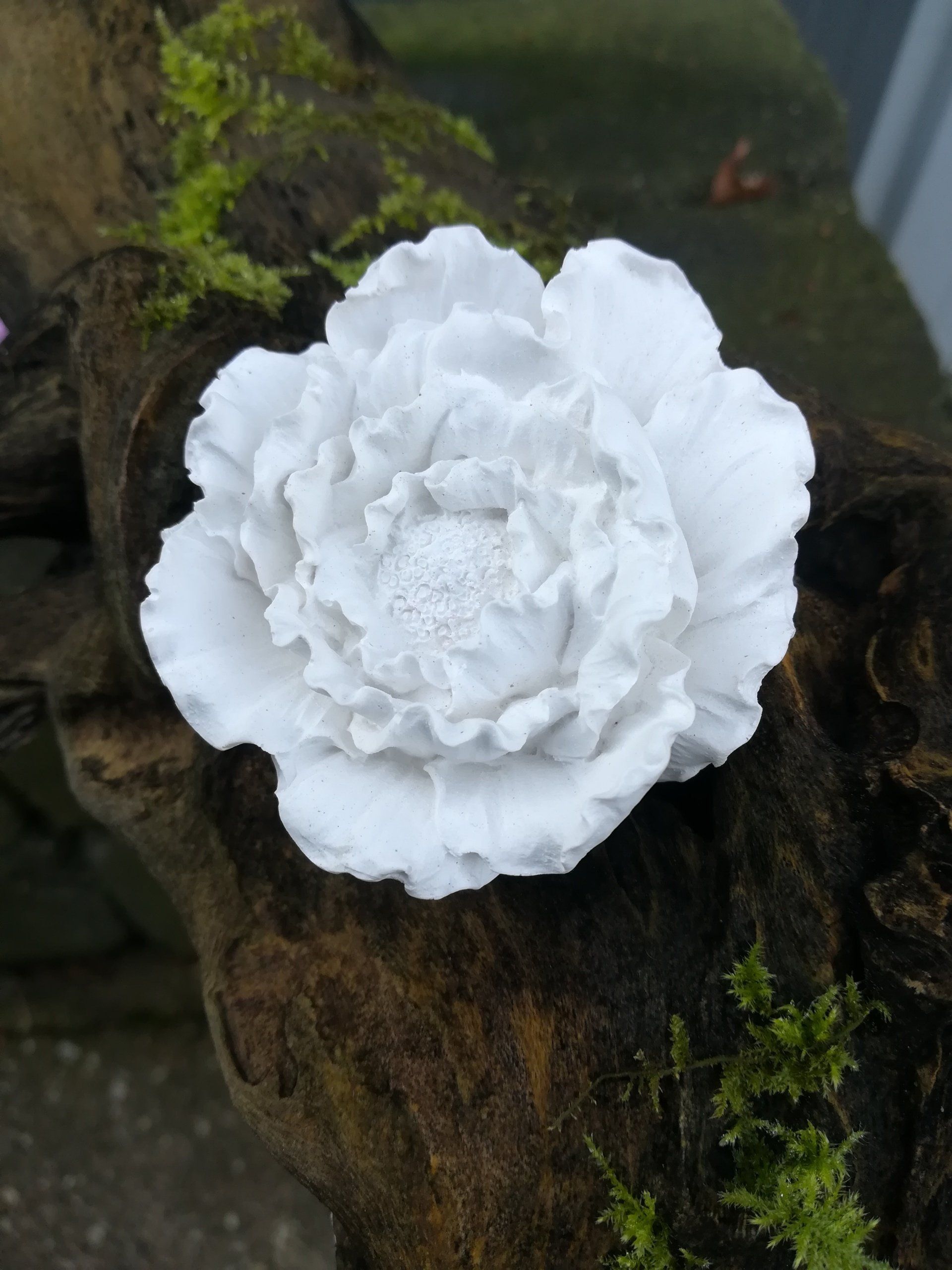 handgemaakt pioenroos, pioenroos, pioenroos van beton, pioenroos van cement, uniek pioenroos, handgemaakt bloem, handgemaakt bloem van cement, bloem dco, deco pioenroos, decoratie van beton, deco can cement