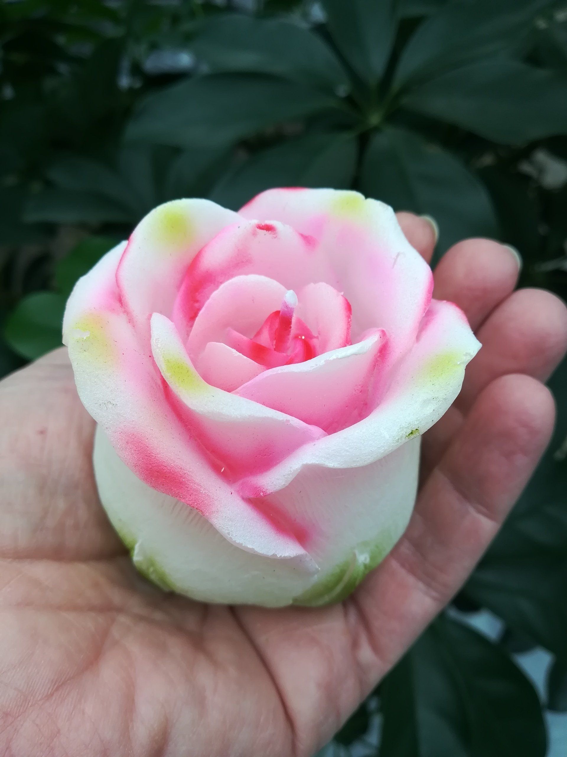 kaarsen, bijzonder kaars, kaars in vorm van een roos, roos kaars, kaars roos, uniek kaars, uniek kaarsenvorm, uniek kaars roos