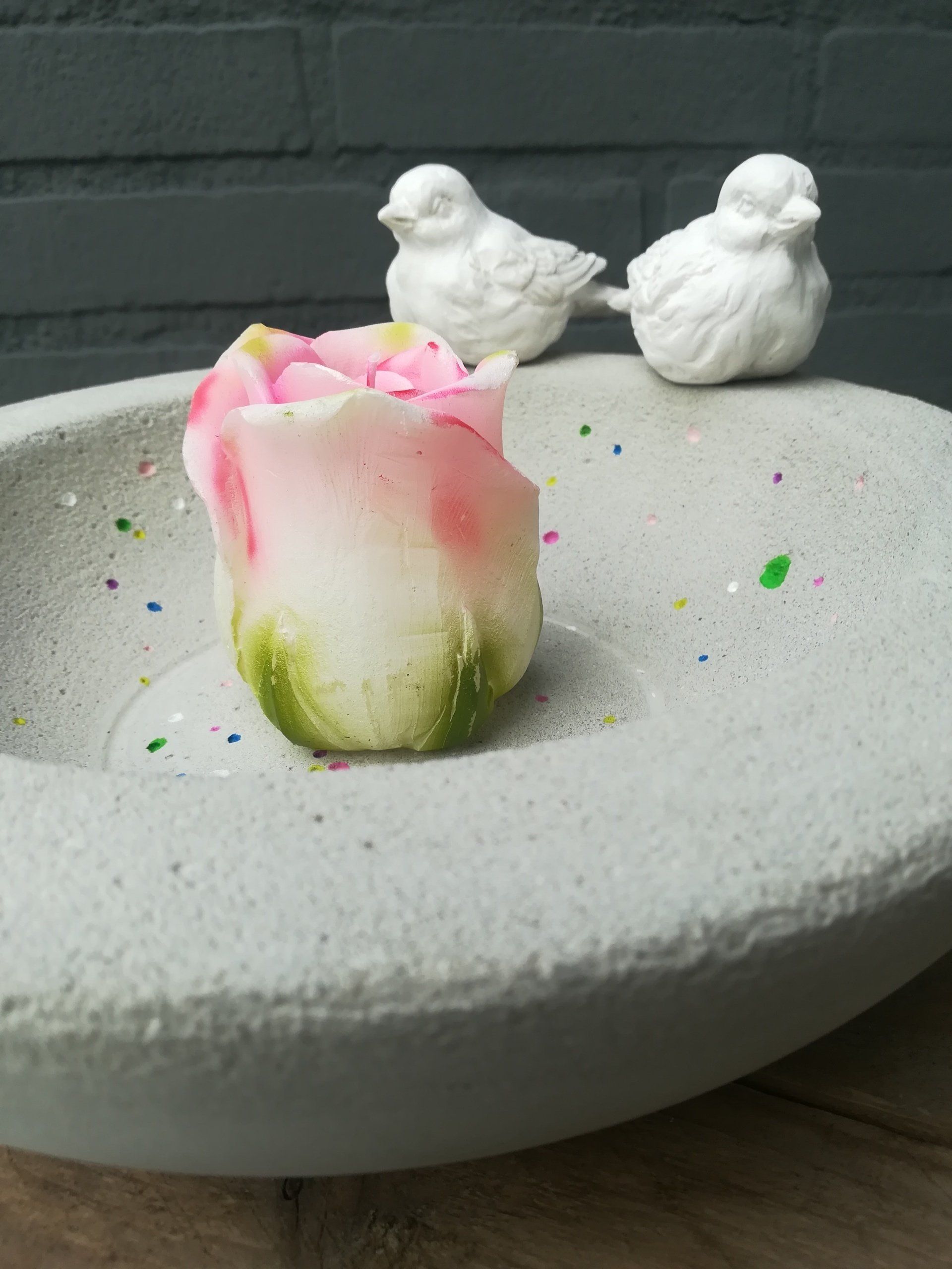 vogelbad, uniek vogelbad, betonnen schaal, betonnen kom, uniek betonnen schaal, lente deco, uniek lente deco, cement schaal, schaal van beton, schaal van cement, kom van cement, kom van beton