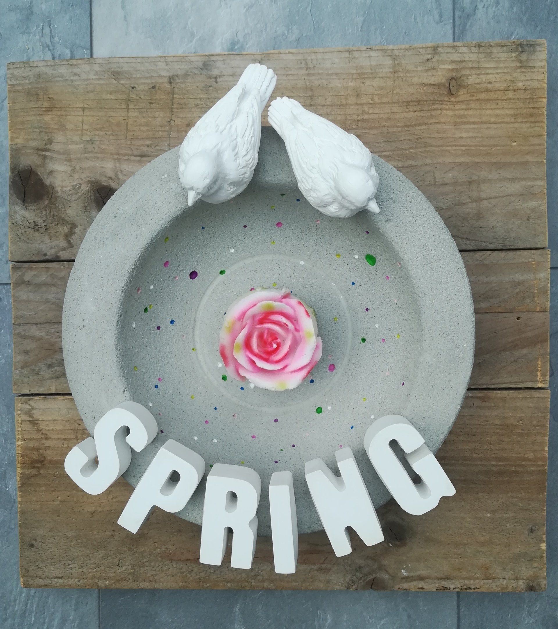 vogelbad, uniek vogelbad, betonnen schaal, betonnen kom, uniek betonnen schaal, lente deco, uniek lente deco, cement schaal, schaal van beton, schaal van cement, kom van cement, kom van beton