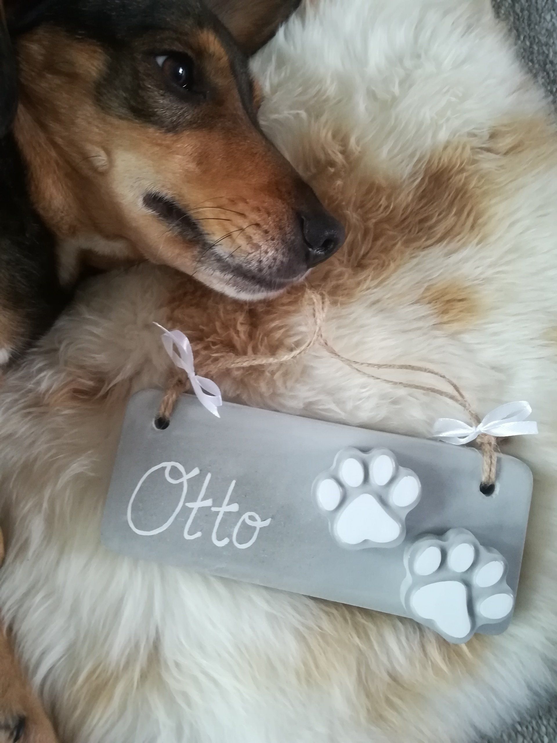 uniek naam bord, uniek naambord, uniek naambord hond, uniek naambord hondjes, handgemaakt naambord, naambord van beton, naambord beton, naambord cemnt, bord van beton, bord van cement, kado, cadeautje, cadeautje voor hondenliefhebbers, naambord hondjes, betonnen bord, betonnen naambord