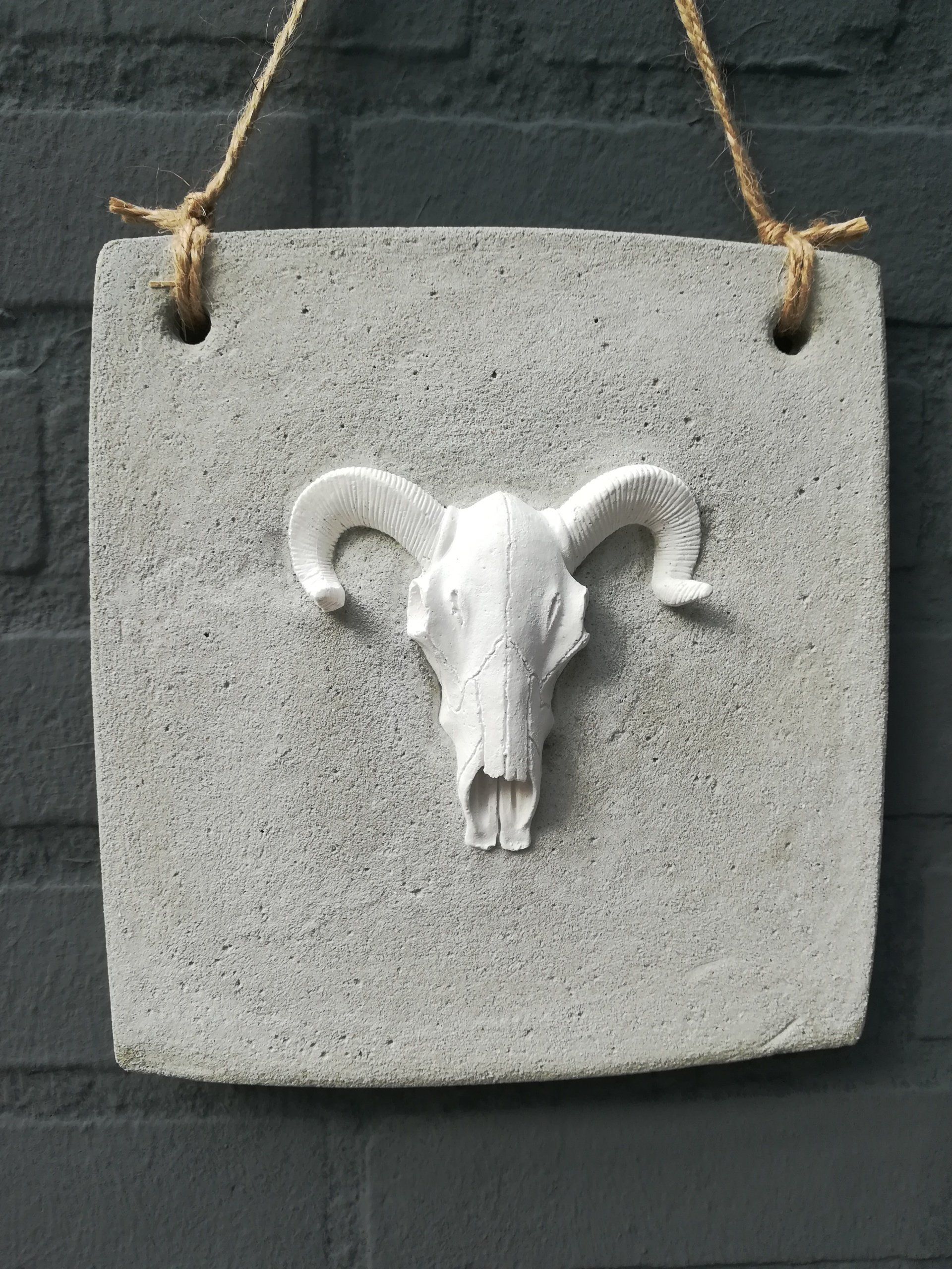 uniek mannen kado, mannelijk kado, betonnen deco, deco van beton, deco van cement, uniek betonnen deco, uniek deco beton, uniek deco cement, mannen deco beton, mannen eco cement, handgemaakt deco, cadeautje man, mannen cadeautje, iets anders kado, schedel beton, schedel raysin, betonnen bord schedel, betonnen schedel, raysin schedel