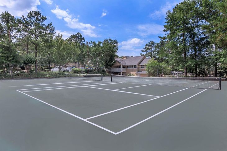 Tennis court with net, lines, and surrounding trees under a blue sky.