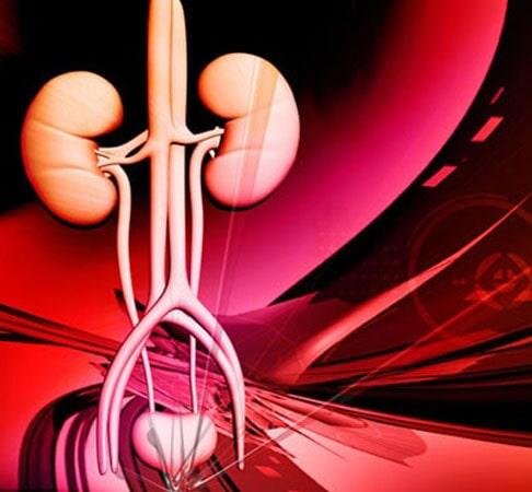 DR. ÓSCAR MANUEL SAUCEDO LUQUE - Infecciones en vías urinarias