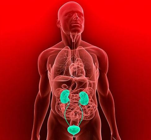 DR. ÓSCAR MANUEL SAUCEDO LUQUE - Crecimiento prostático