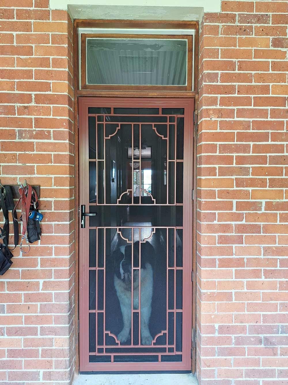 A Clean Crimsafe Security Screens