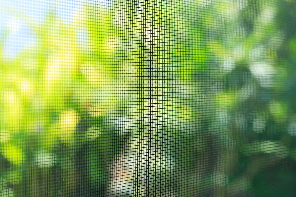 window screen upclose