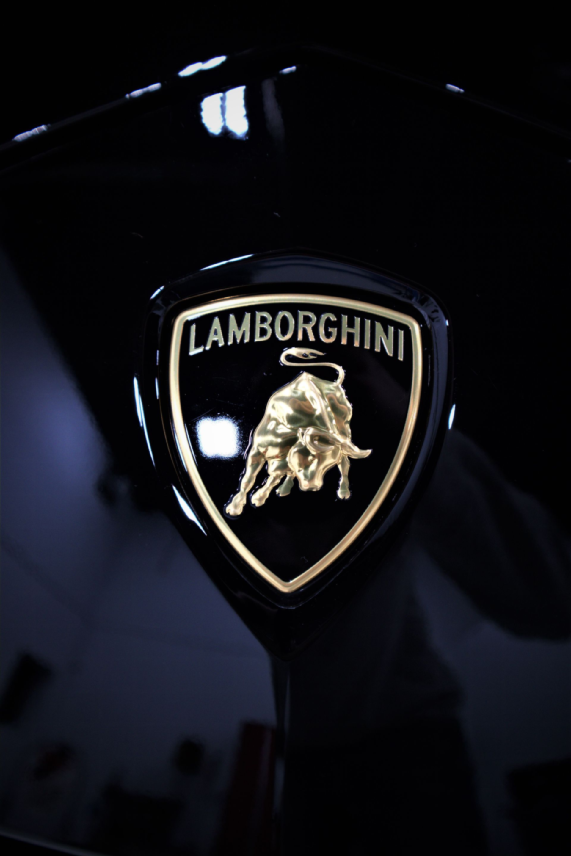 Close-up of a Lamborghini hood emblem on a black car