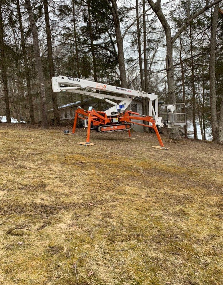 Aerial lift next to many trees — Daniels, WV — Mastiff Lawn & Tree Care